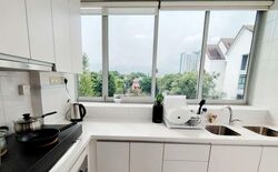 The Stellar (D5), Condominium #562082081